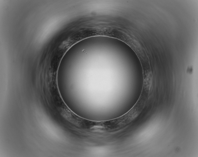 X0000091210430200708091351