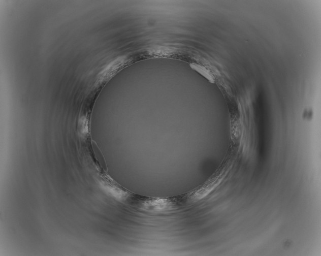 X0000091210431200708091351