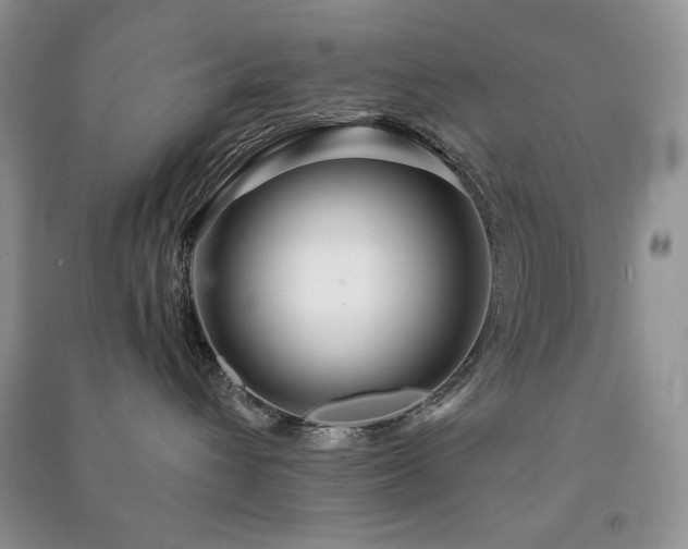 X0000091210432200708091351