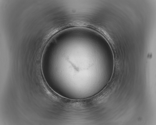 X0000091210433200708091350