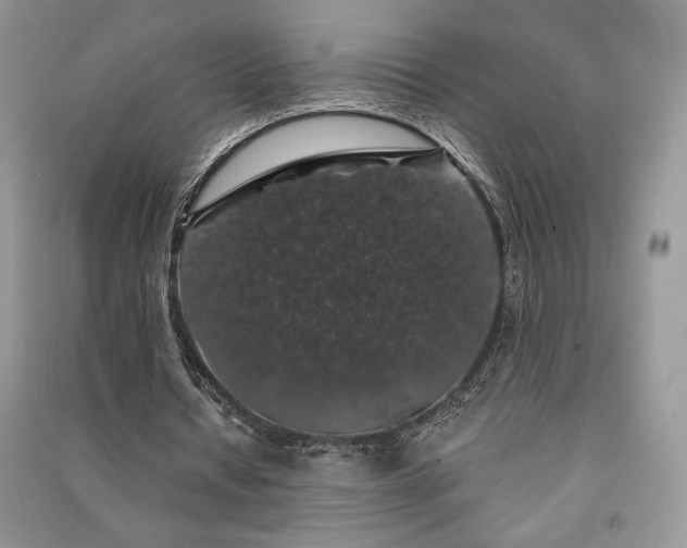 X0000091210434200708091350