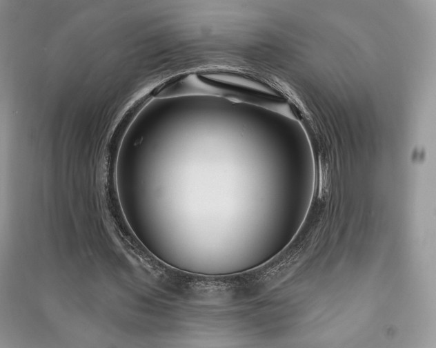 X0000091210435200708091350