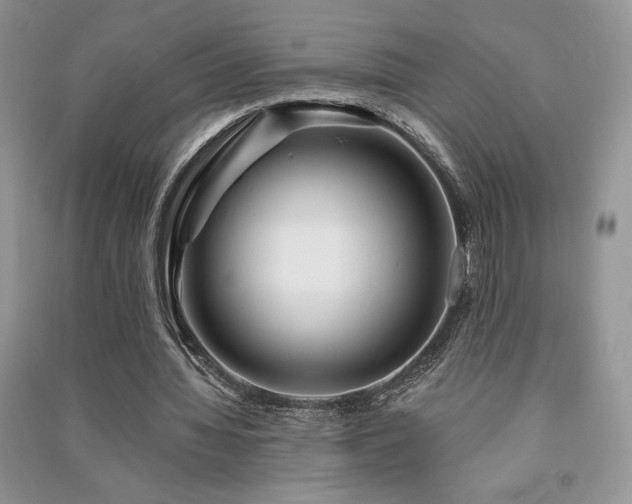 X0000091210436200708091350