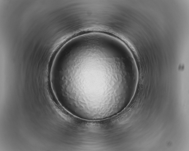 X0000091210437200708091350