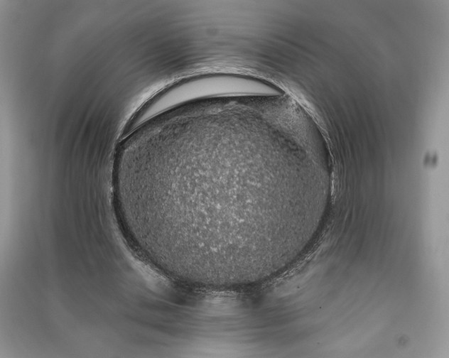 X0000091210438200708091350