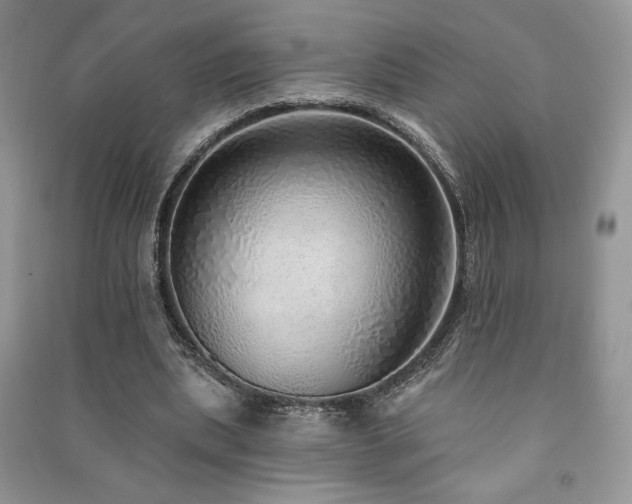 X0000091210439200708091350