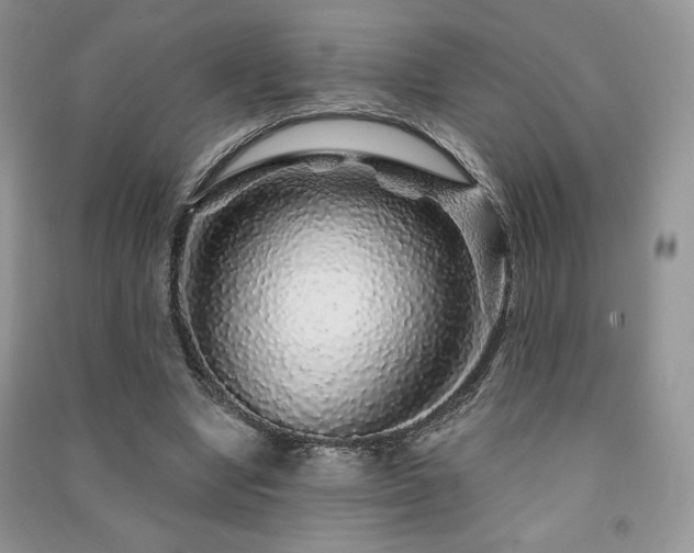 X0000091210442200708091350