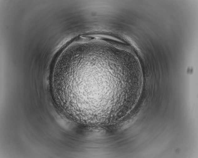 X0000091210443200708091350