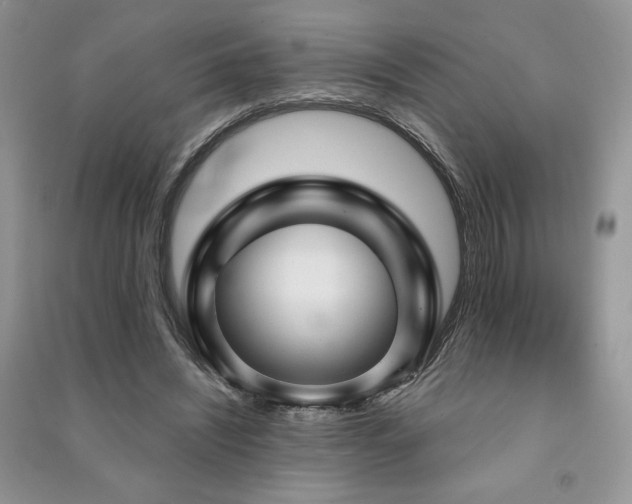 X0000091210444200708091350