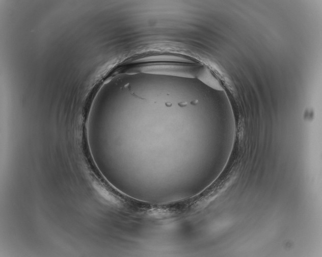 X0000091210445200708091350