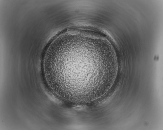 X0000091210447200708091350