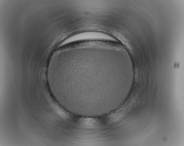 X0000091210449200708091350