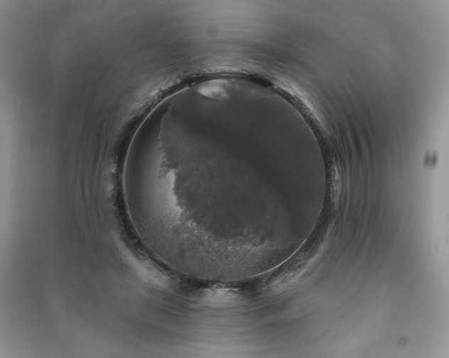 X0000091210451200708091350