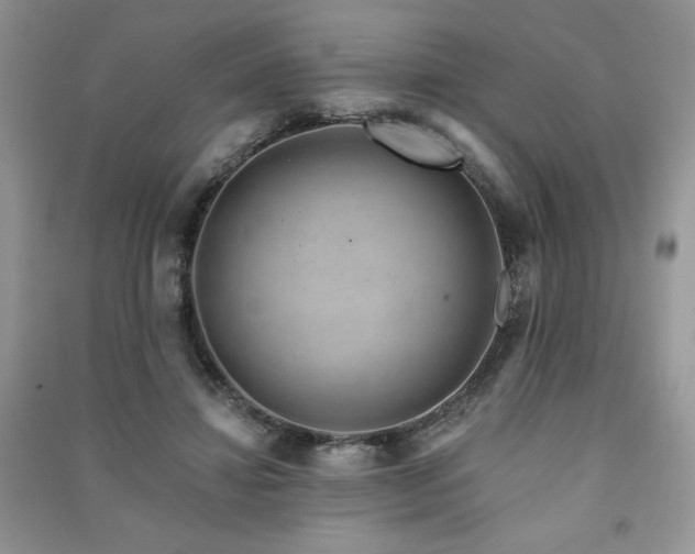 X0000091210452200708091350