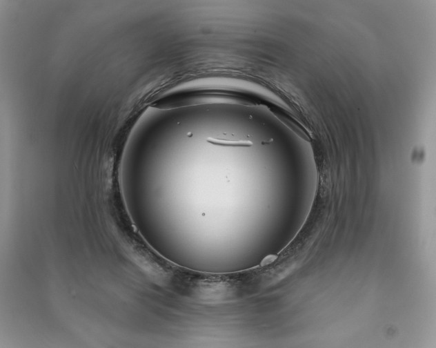 X0000091210454200708091350