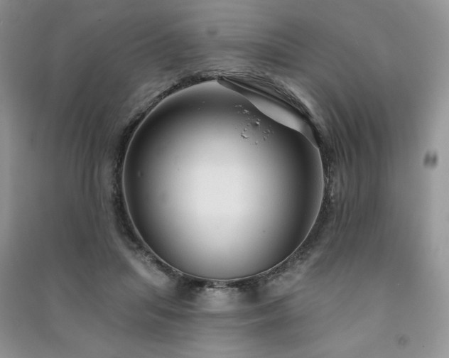 X0000091210455200708091350