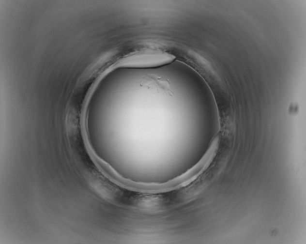 X0000091210456200708091350