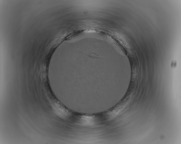 X0000091210457200708091351