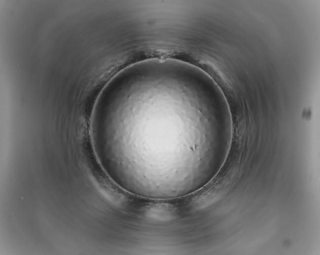 X0000091210459200708091351