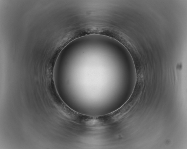 X0000091210460200708091351