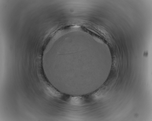 X0000091210461200708091351