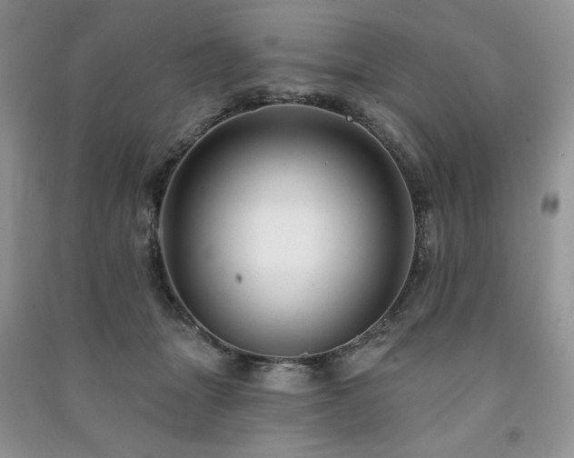 X0000091210463200708091351