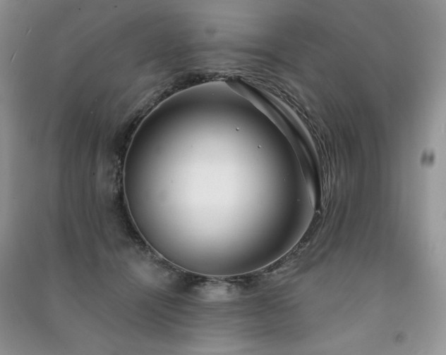 X0000091210464200708091351