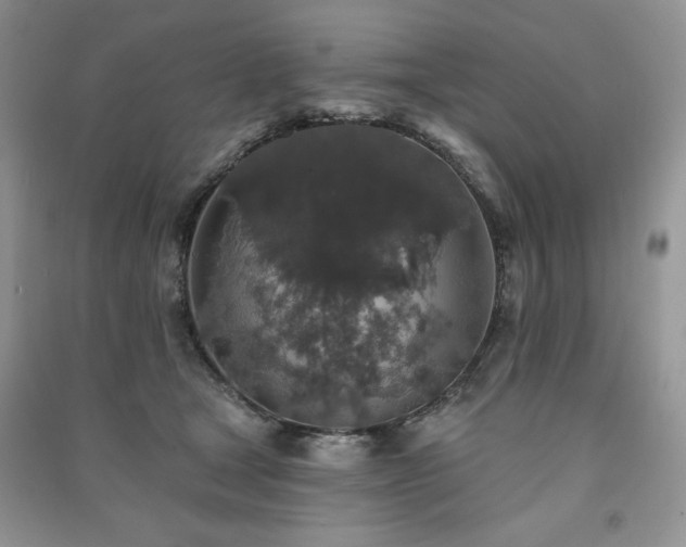 X0000091210465200708091351