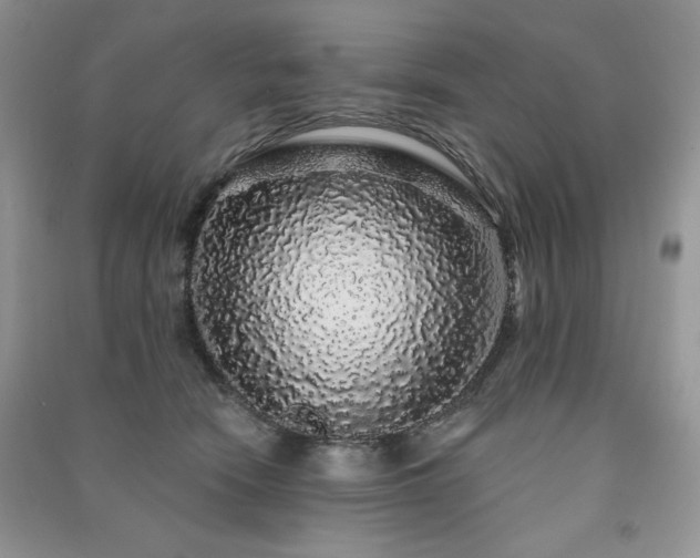 X0000091210466200708091351