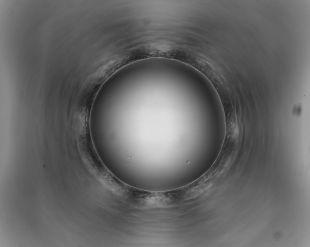 X0000091210468200708091351