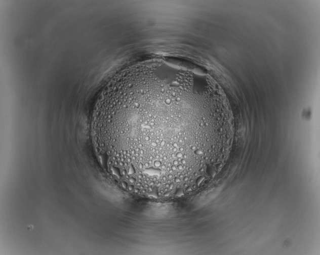 X0000091210469200708091351