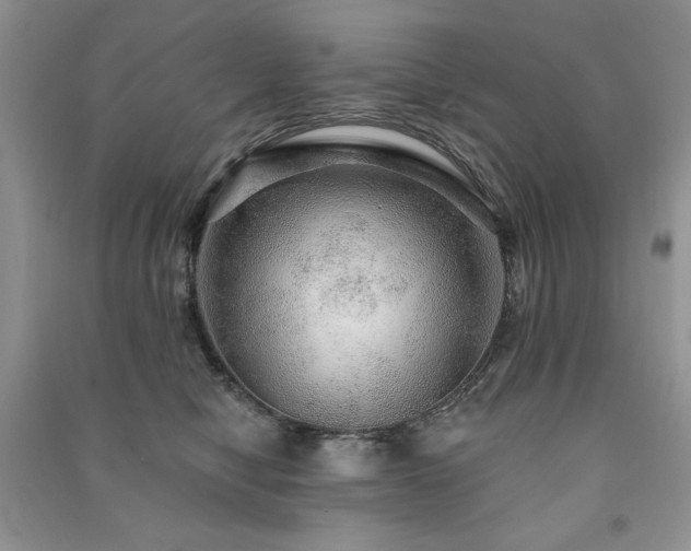 X0000091210470200708091351
