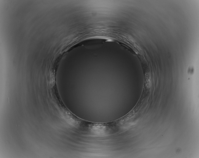 X0000091210471200708091351