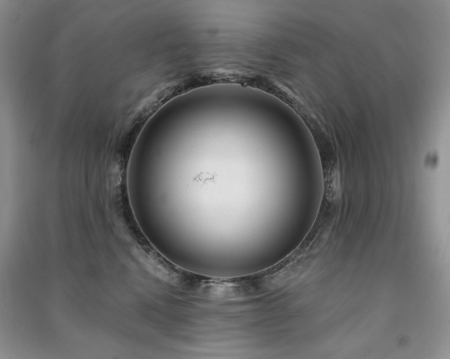 X0000091210472200708091351