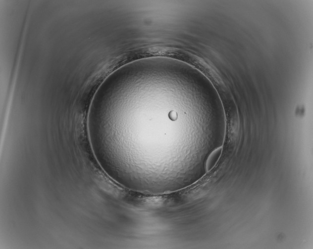 X0000091210473200708091351