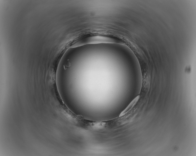 X0000091210474200708091351