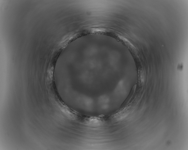 X0000091210475200708091351