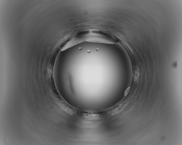 X0000091210476200708091351