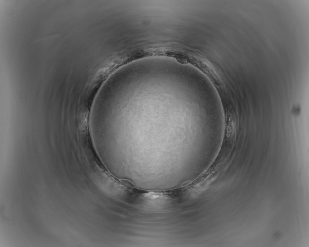 X0000091210477200708091351
