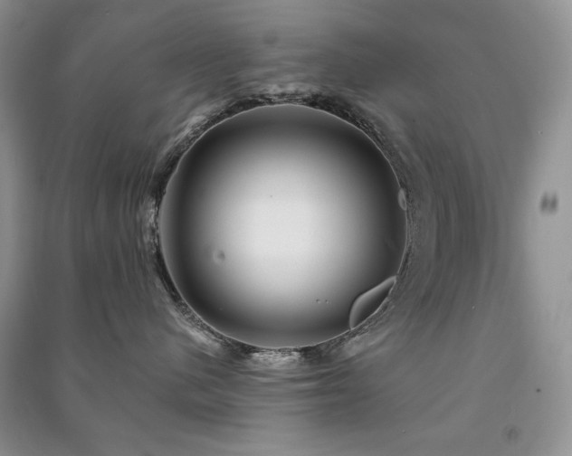 X0000091210480200708091351