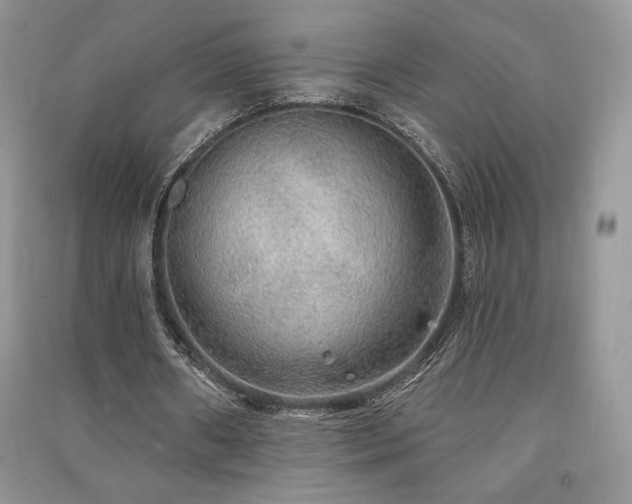 X0000091210482200708091350