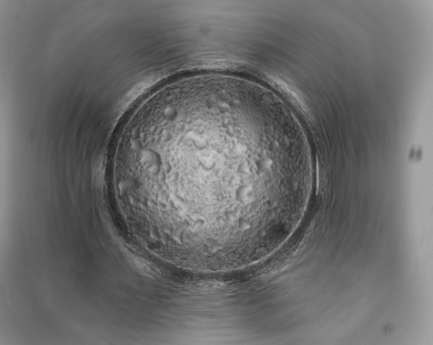 X0000091210483200708091350