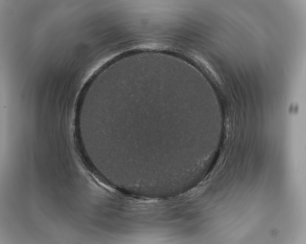 X0000091210484200708091350