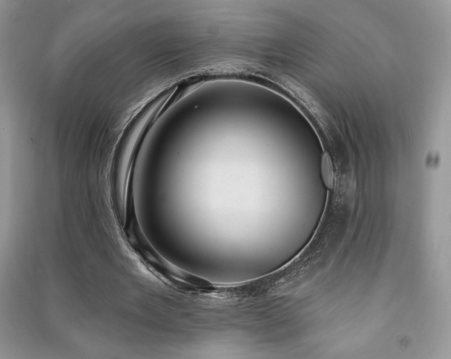 X0000091210485200708091350