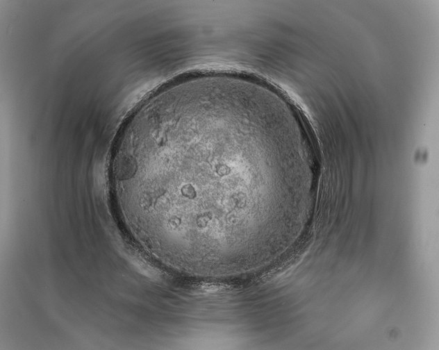 X0000091210487200708091350