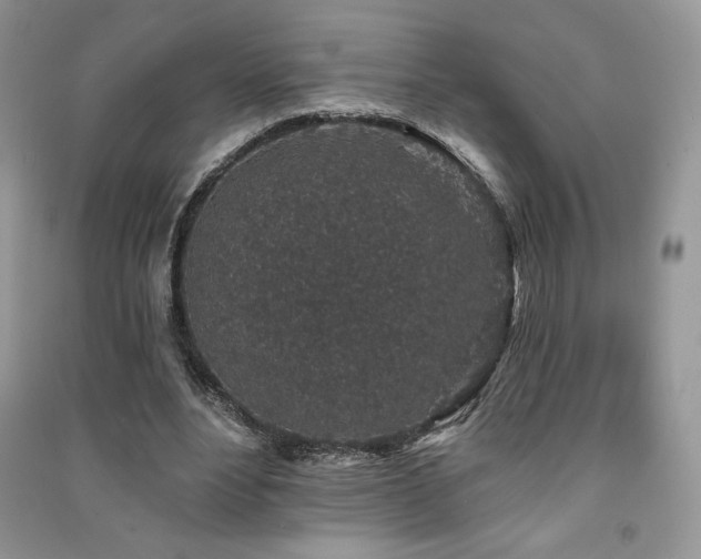 X0000091210488200708091350