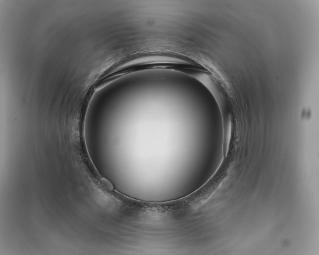 X0000091210489200708091350