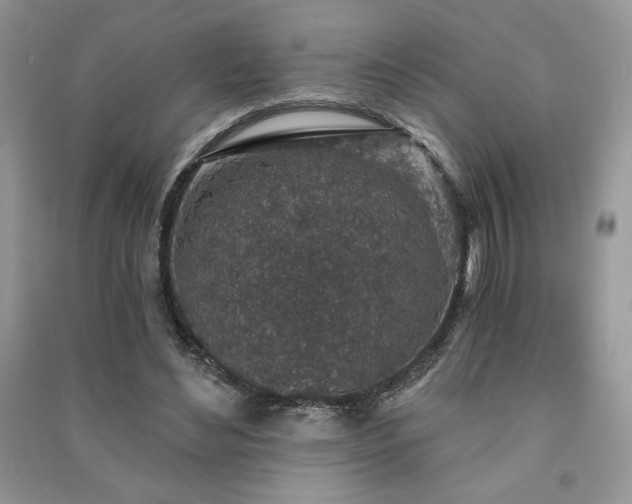 X0000091210492200708091350