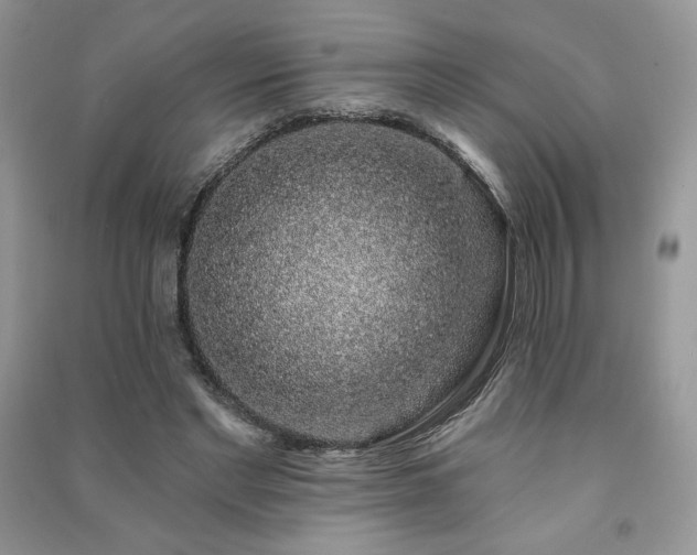X0000091210493200708091350