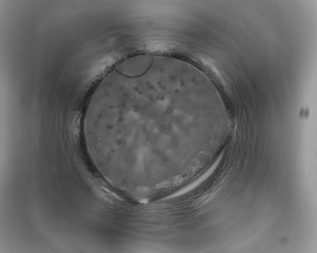 X0000091210495200708091350